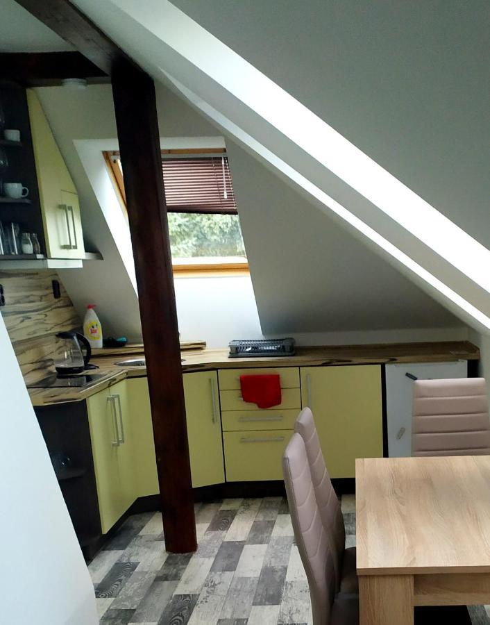 Podkrovni Apartman V Prirode, Vhodny K Relaxaci I Na Sluzebni Cesty Apartment Cerna u Bohdance Exterior photo
